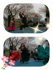 ☆寝豚祭りな毎日 画像2