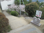 no title 画像2