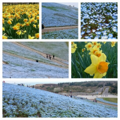 ひたち海浜公園♪ 画像1