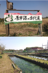 原市沼探索…↑ 画像1