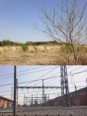 原市沼探索…↑ 画像3