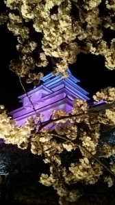 ライトアップで一杯♪ 画像2