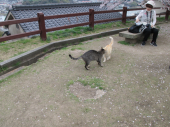 no title 画像2