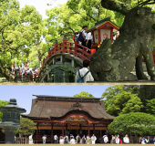 予約→キャンセル→予約→キャンセル･･･ 画像1
