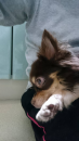 ☆チェリーちゃんの真実☆