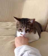 地震から1週間 画像2