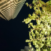 ☆昨日は楽々☆ 画像1