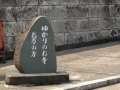 渡良瀬遊水地…↓