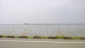 渡良瀬遊水地…↓ 画像3
