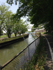 見沼用水路散歩…↓ 画像3