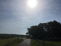 リベンジ　ならず♪