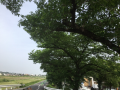 最終日♪