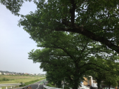 最終日♪ 画像2