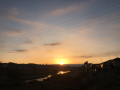 眠い・・・・♪