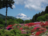 今年最後の、、、 画像1