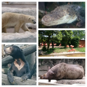 上野動物園散策 画像3