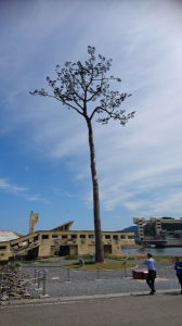 1804日目－27.9㎏ 画像3