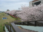 日本の着物って 画像2