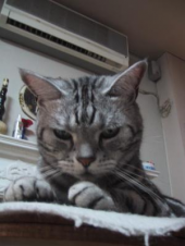 my style (綴りあってる?) 画像2