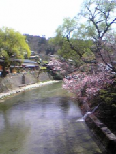 お祭り日和 画像2