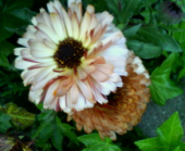 ☆気にしないよっ!!☆ 画像2