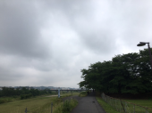 こんなところに・・・・♪ 画像1