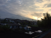 綺麗な花が見れるといいな 画像1