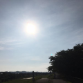 年のせい・・・？