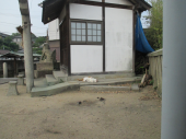 no title 画像1