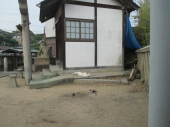 no title 画像3