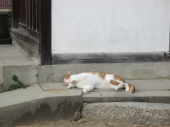 no title 画像3