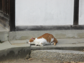 no title 画像2
