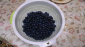 このブルーベリーだけは・・・ 画像2