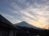一年の折り返しがすぐだね 画像2