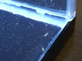 何パーセント⁉️ 画像2