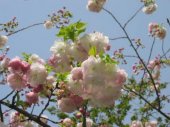 解って欲しい！！ 画像1