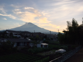 夏の朝 画像1