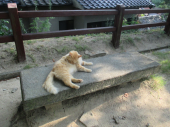 no title 画像3