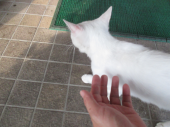no title 画像3