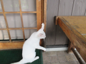 no title 画像2