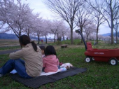 花見食い過ぎ 画像1