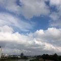 秋の風・・・・♪