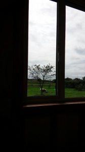 ２連休疲れた(笑) 画像3