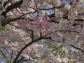今朝は最高！