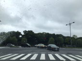 長雨・・・・♪ 画像2