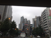 長雨・・・・♪ 画像3