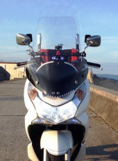 ちょっと似てる？ 画像2