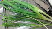 草刈 と 買い物 画像1