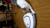 この頃σ^_^; 画像1