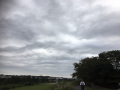 秋・・・・♪